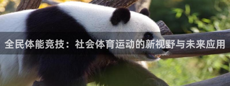 播极速体育直播吧：全民体能竞技：社会体育运动的新视野与未来应用