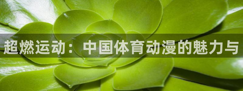 快手极速体育
