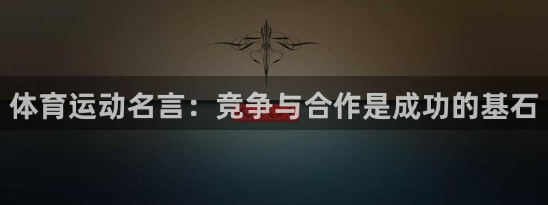 qq极速体育