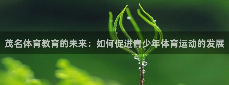 nba极速体育在线观看