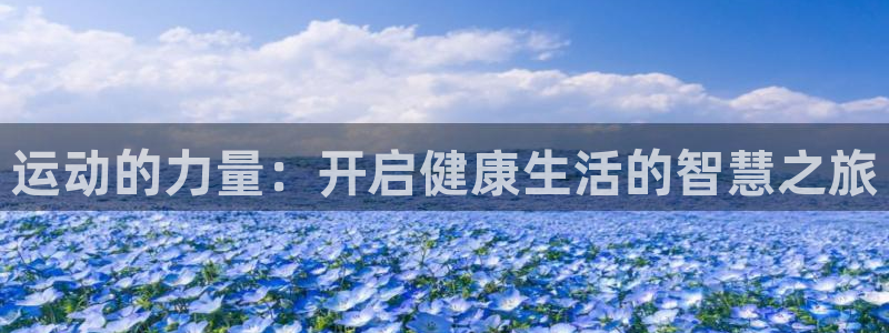 飞极速体育