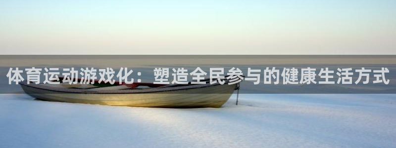 极速体育在线体育：体育运动游戏化：塑造全民参与的健康生活方式