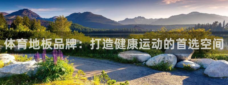 极速体育jrs：体育地板品牌：打造健康运动的首选空间