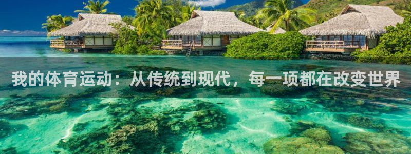 极速体育高清直播在线观看：我的体育运动：从传统到现代，每一项都在改变世界